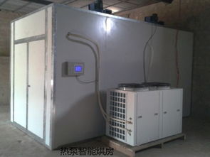 台农芒果市场报价与环保设备制造企业发展探析